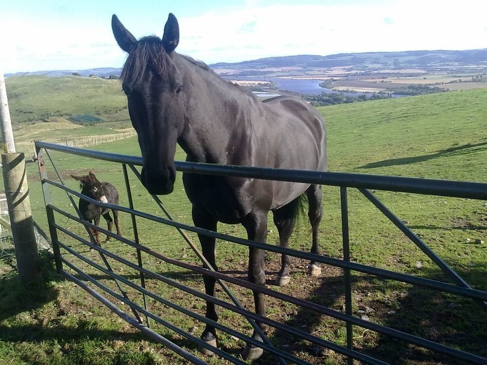 Northlees Farm Bed & Breakfast Perth Luaran gambar