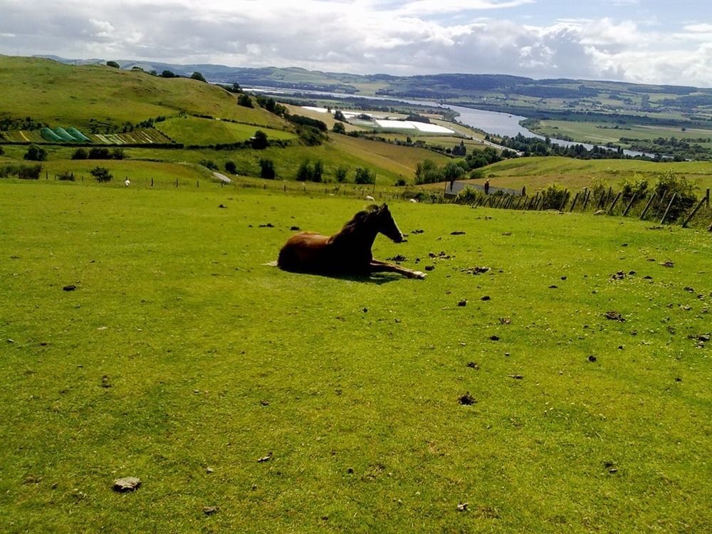 Northlees Farm Bed & Breakfast Perth Luaran gambar