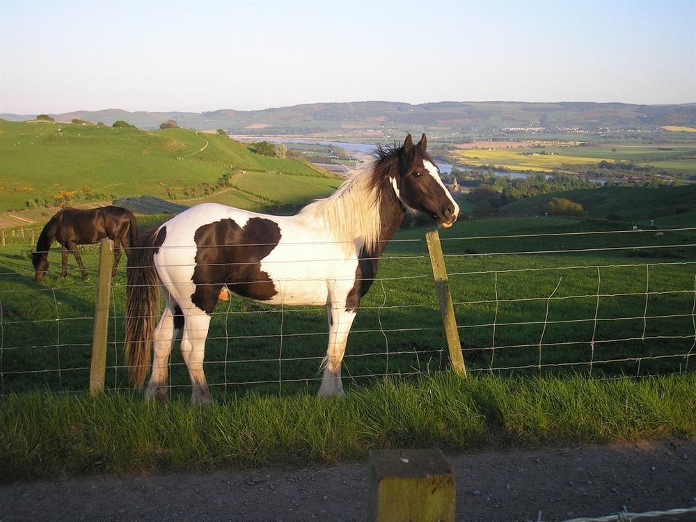 Northlees Farm Bed & Breakfast Perth Luaran gambar